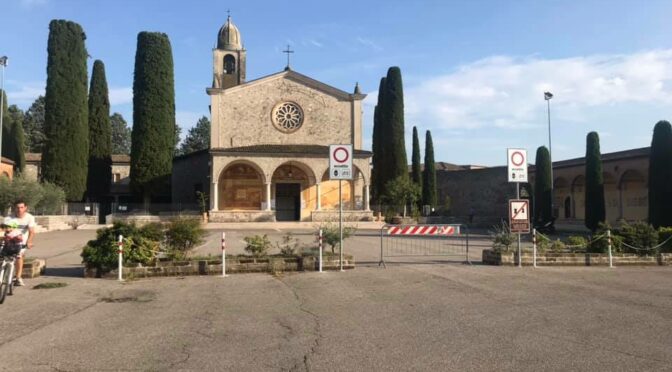 staNNO devastando il frassinO: fermiamoli!